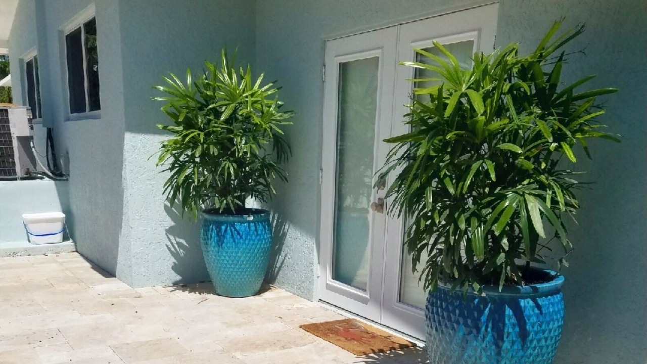 Photo of Outdoor in Toll Gate Shores