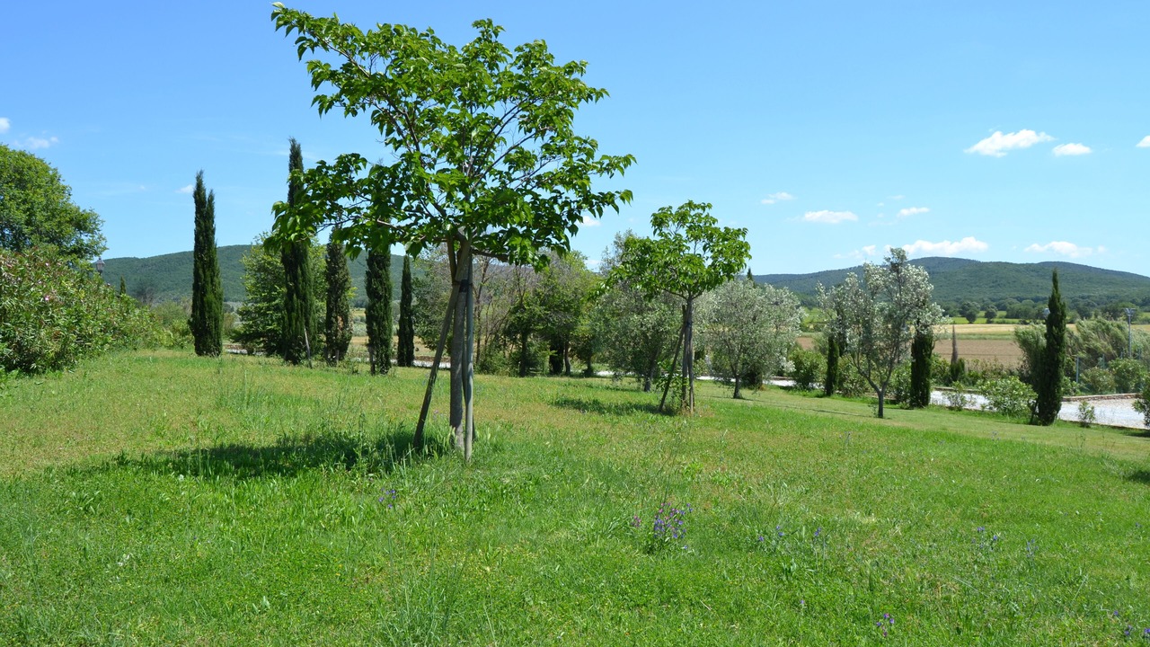 Photo of Outdoor in Casalappi