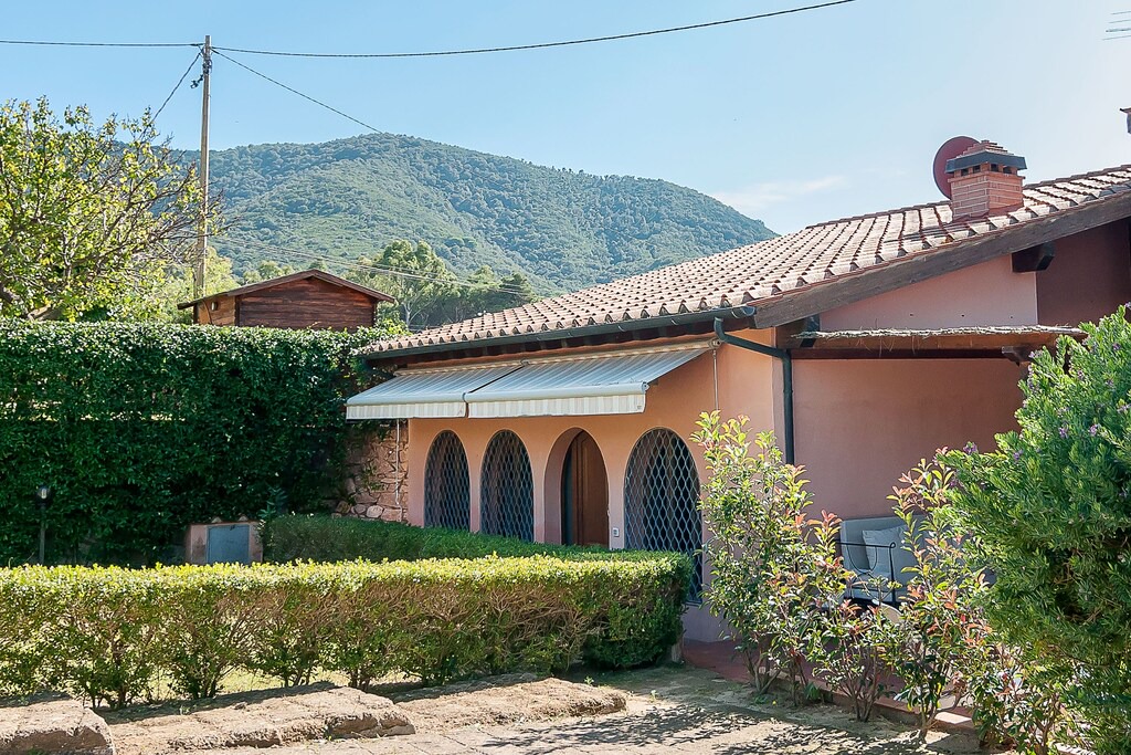 Photo of Buildings in Procchio