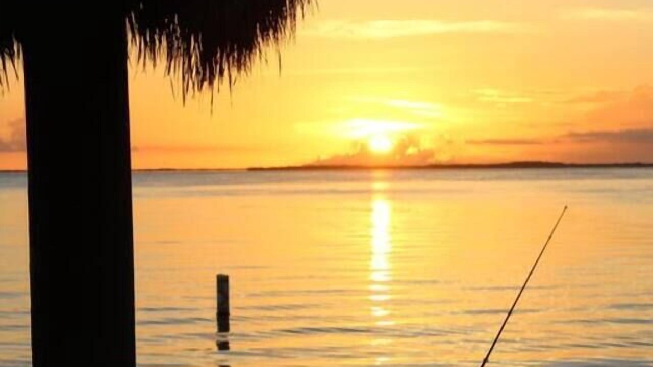 Photo of Outdoor in Key Largo