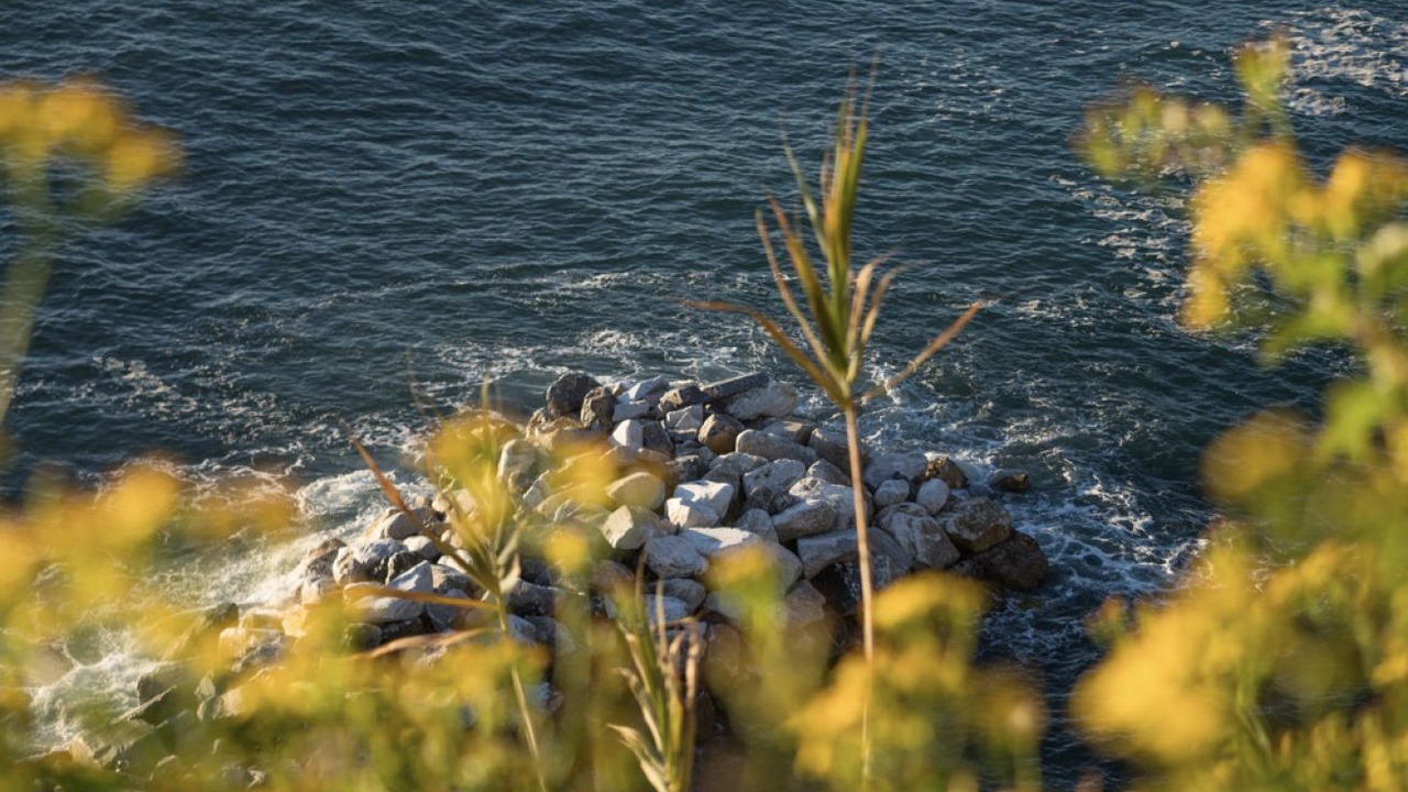 Photo of Others in Manarola
