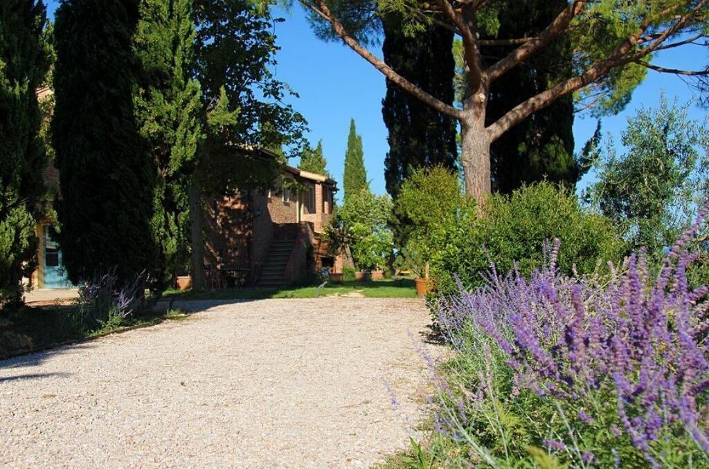 Photo of Outdoor in Castiglione del Lago