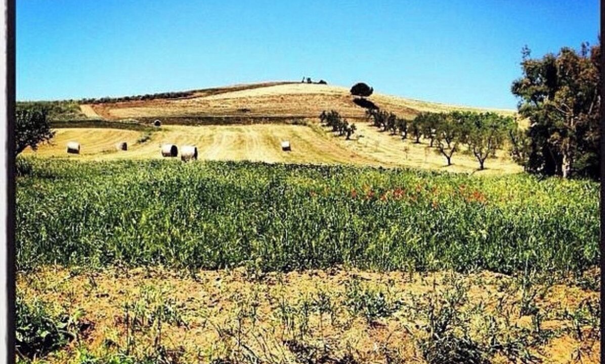 Photo of Outdoor in Piombino