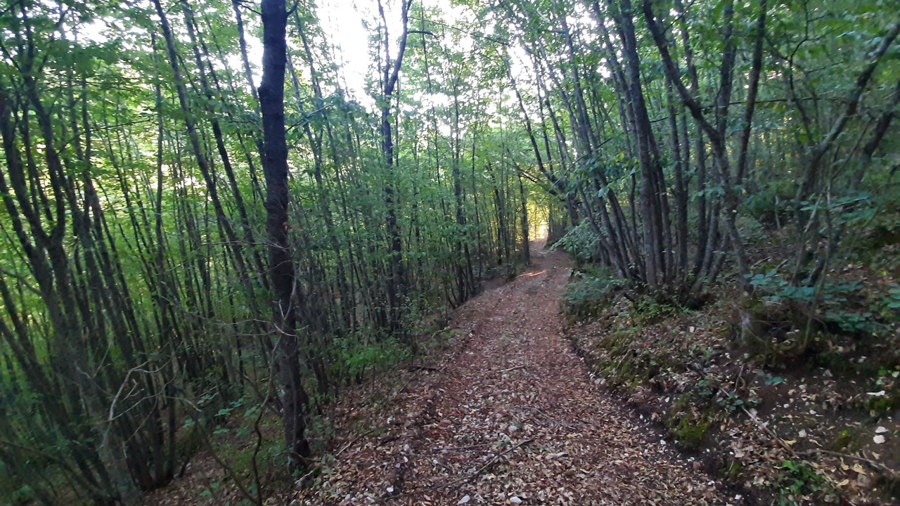 Photo of Outdoor in Cascia