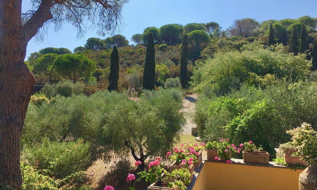 Photo of Outdoor in Porto Ercole
