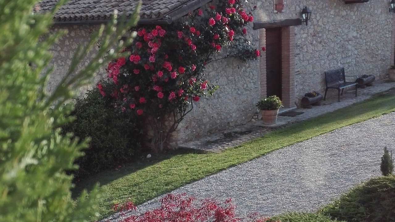 Photo of Outdoor in Rocca Ranieri