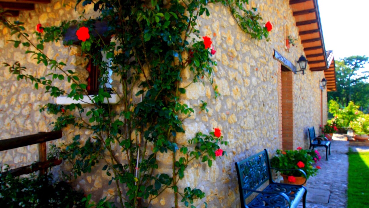 Photo of Patio Balcony in Rocca Ranieri
