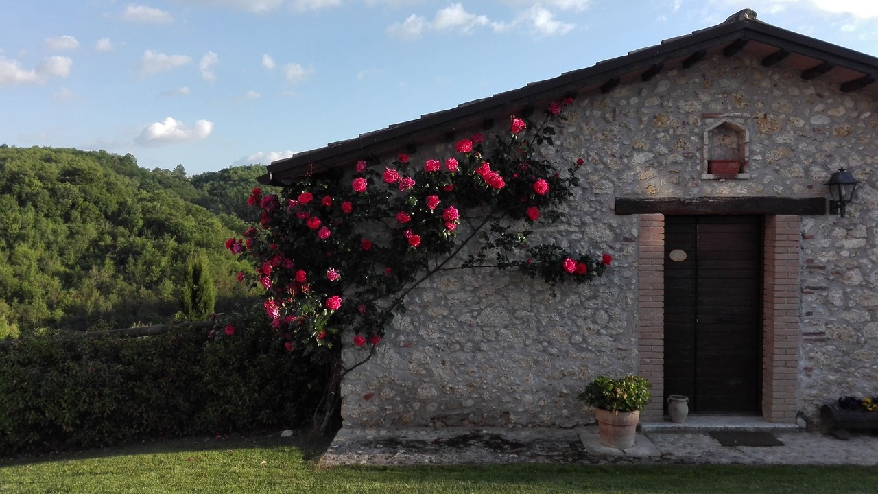 Photo of Outdoor in Rocca Ranieri
