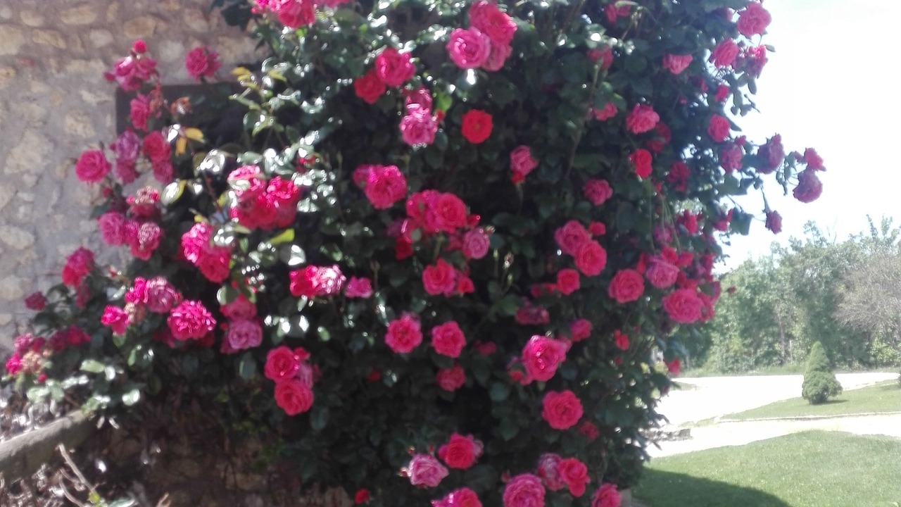 Photo of Outdoor in Rocca Ranieri