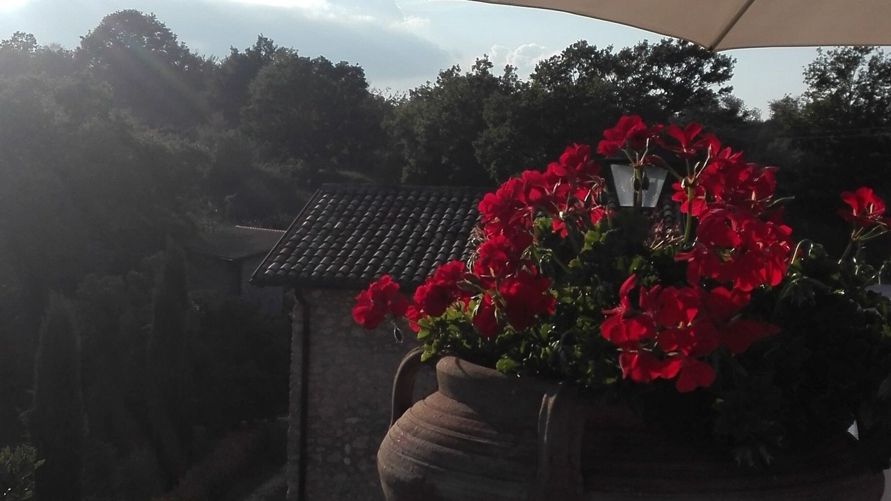Photo of Outdoor in Rocca Ranieri