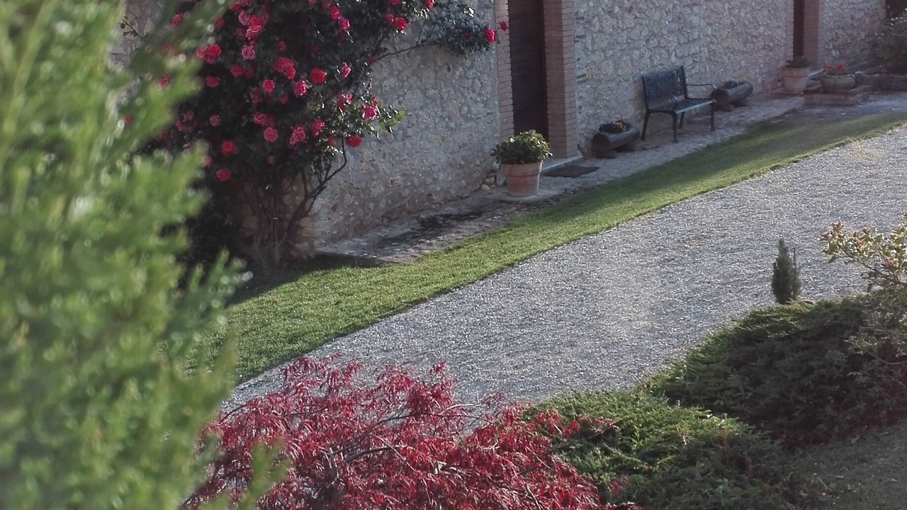 Photo of Outdoor in Rocca Ranieri