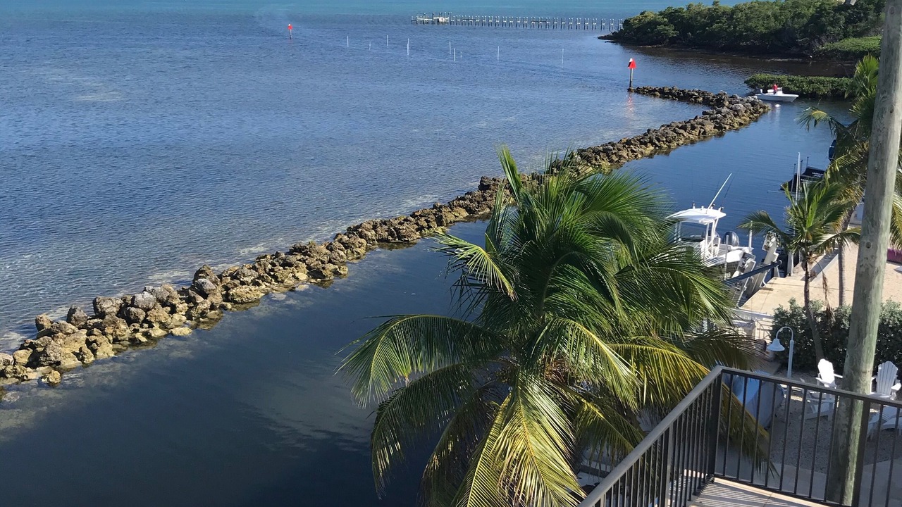 Photo of Others in Tavernier