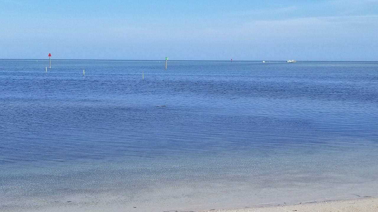 Photo of Others in Islamorada