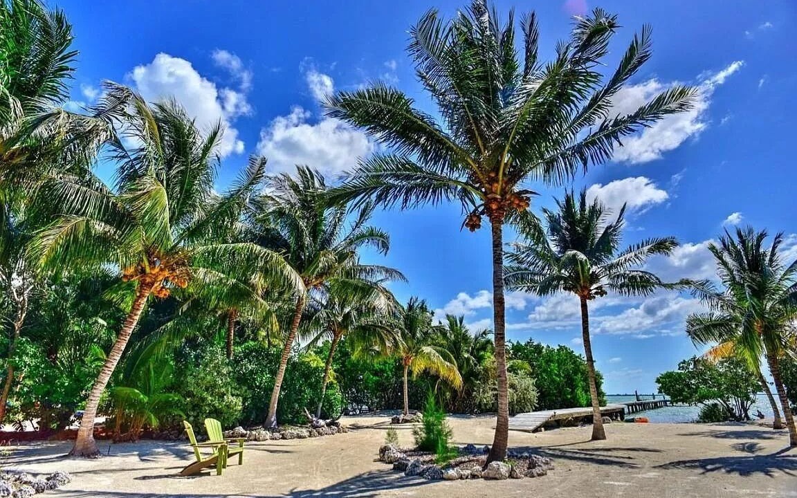 Photo of Others in Summerland Key