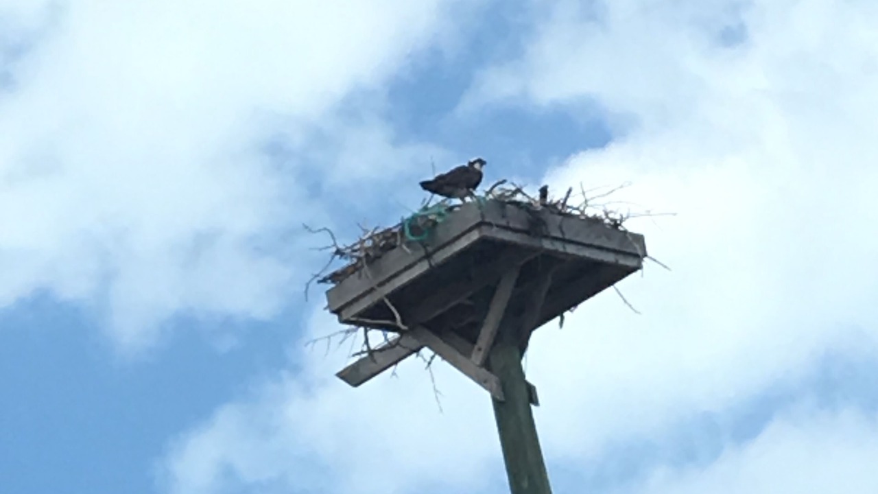 Photo of Others in Islamorada
