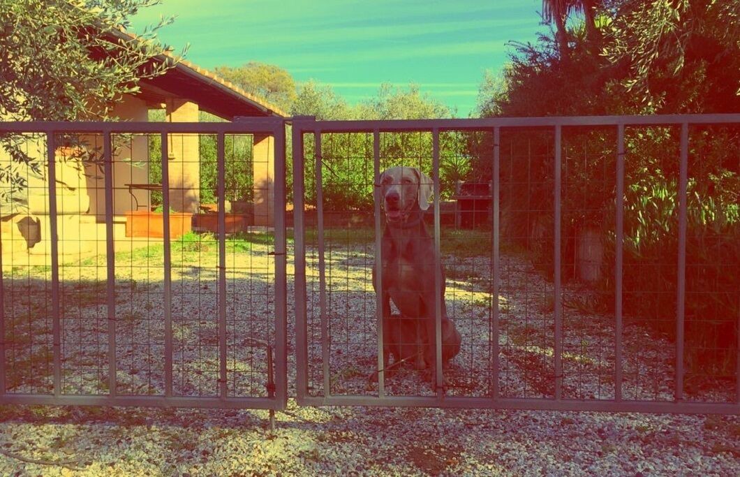 Photo of Outdoor in Cecina