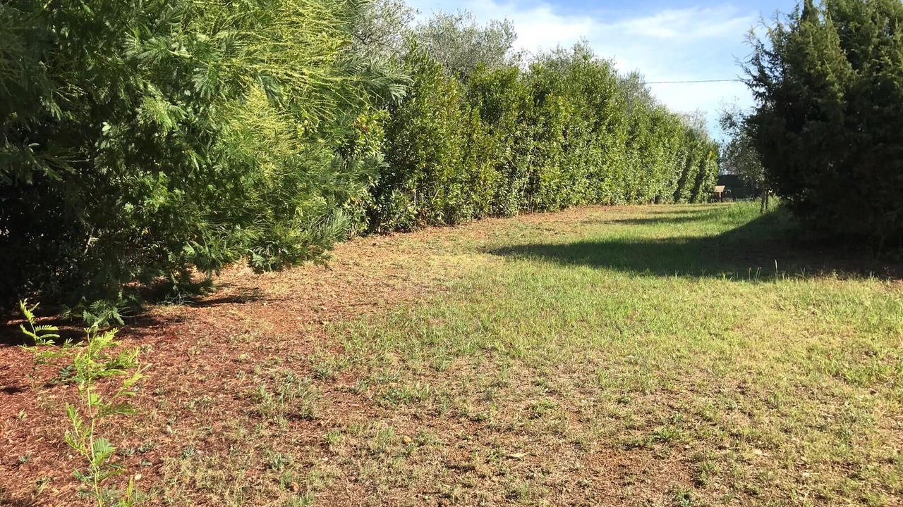 Photo of Outdoor in Cecina