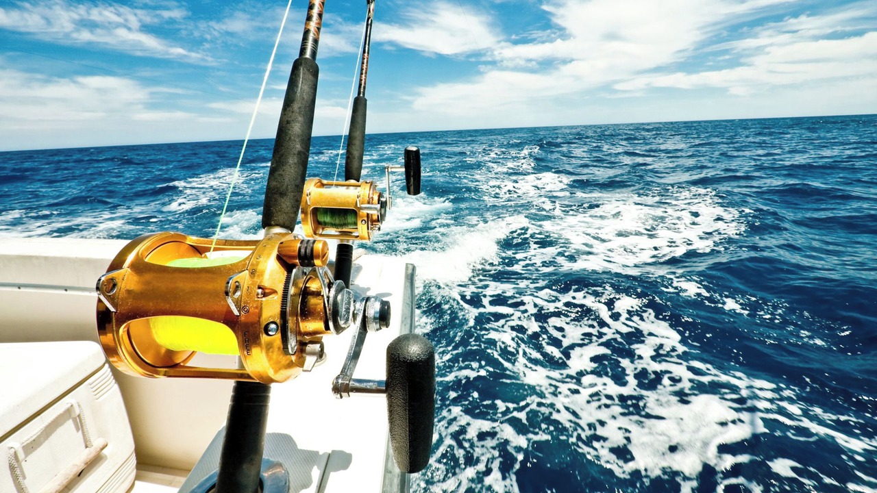 Photo of Others in Rock Harbor
