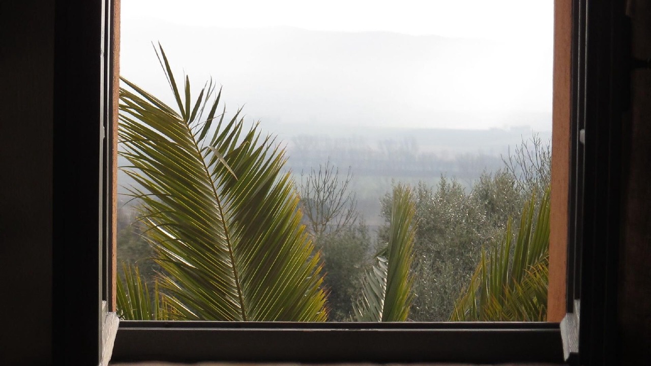 Photo of Others in Castiglione del Lago