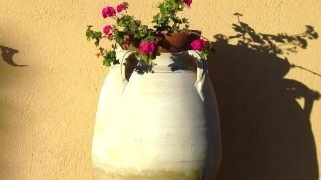 Photo of Outdoor in Ramazzano