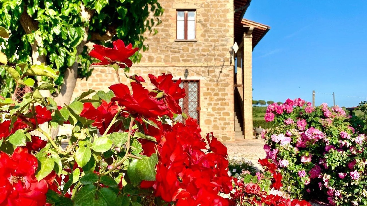 Photo of Outdoor in Torgiano