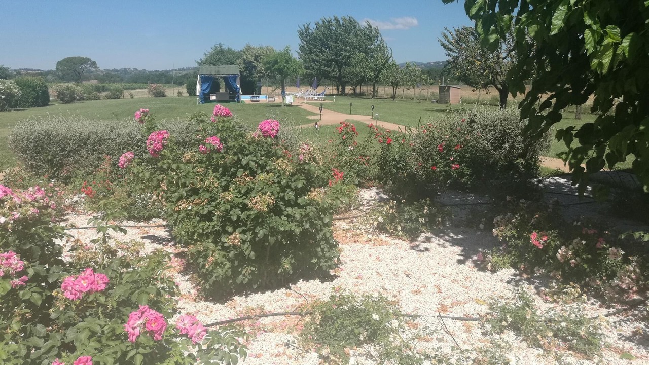Photo of Outdoor in Torgiano