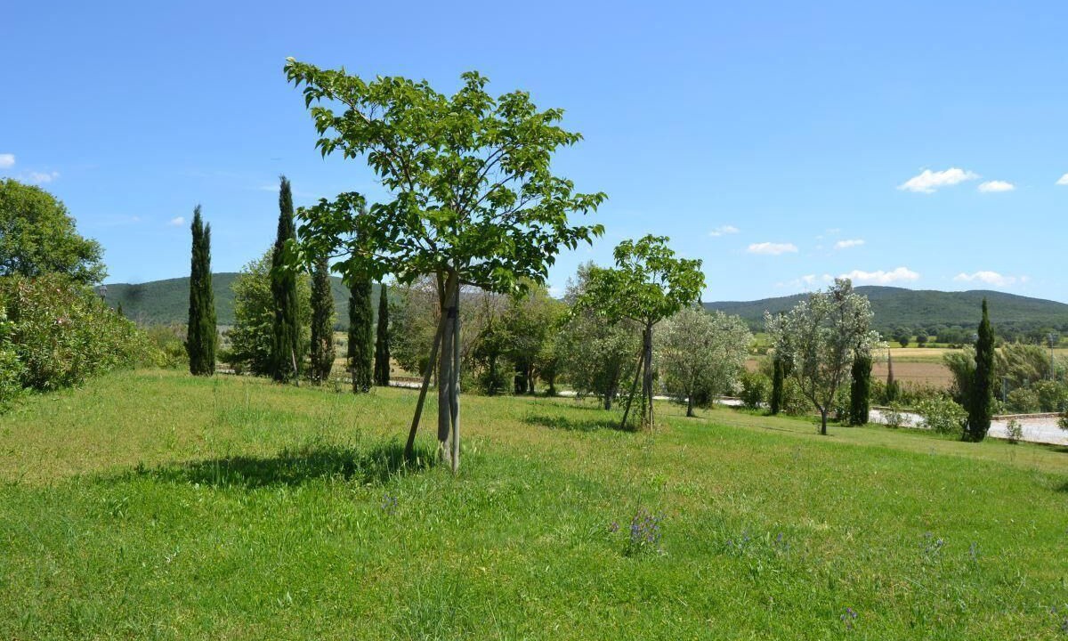Photo of Others in Casalappi