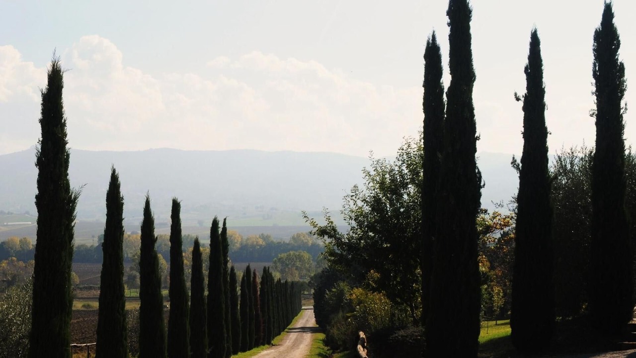 Photo of Others in Castiglione del Lago