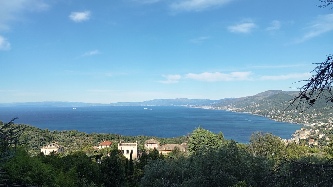 Photo of Others in Camogli
