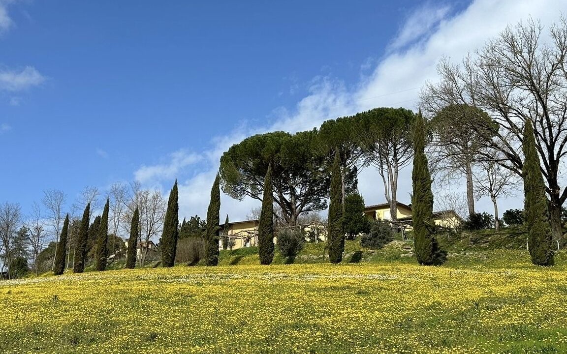 Photo of Outdoor in Santa Reparata