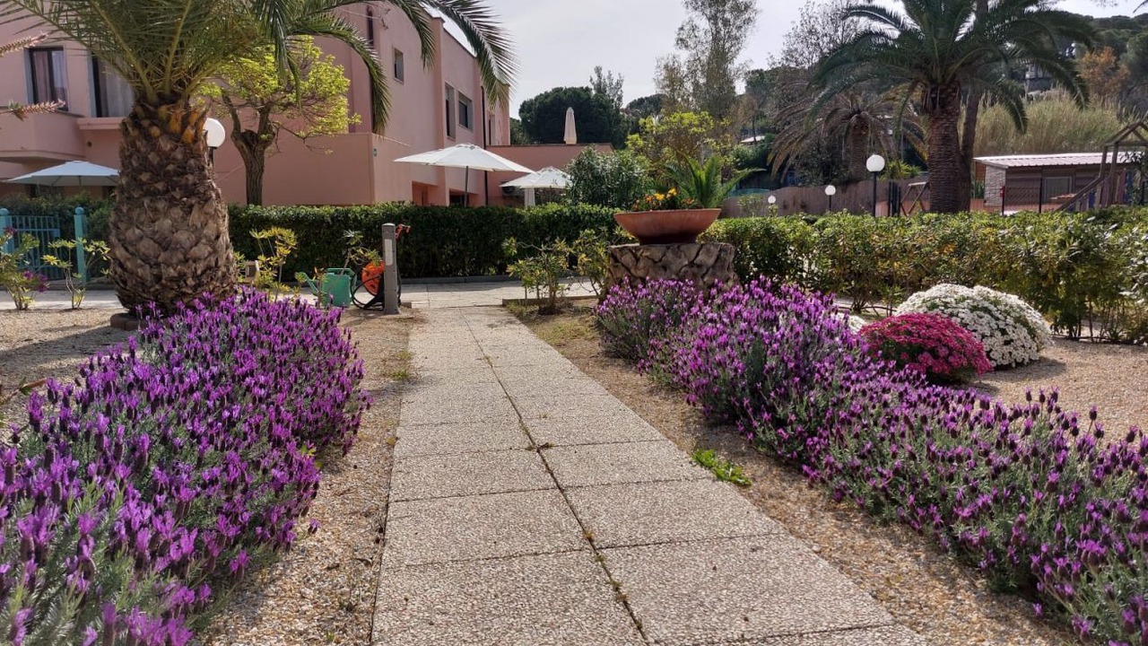 Photo of Outdoor in Lido di Capoliveri