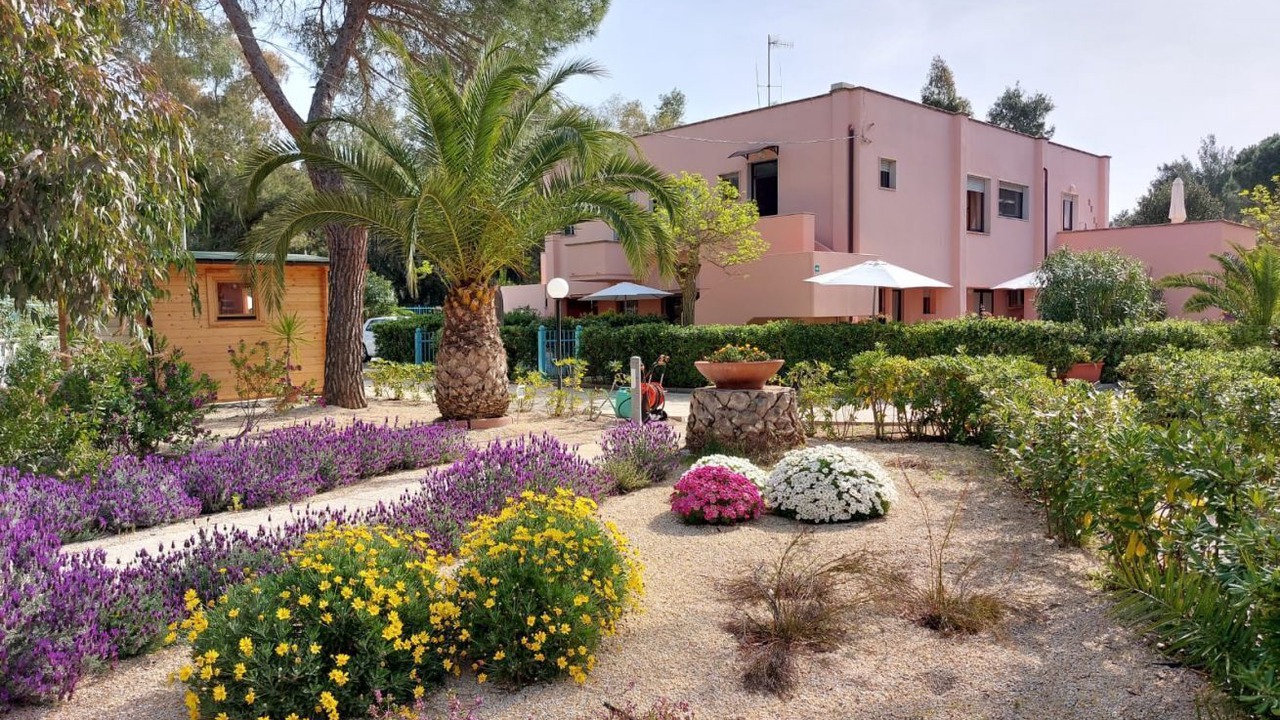 Photo of Outdoor in Lido di Capoliveri