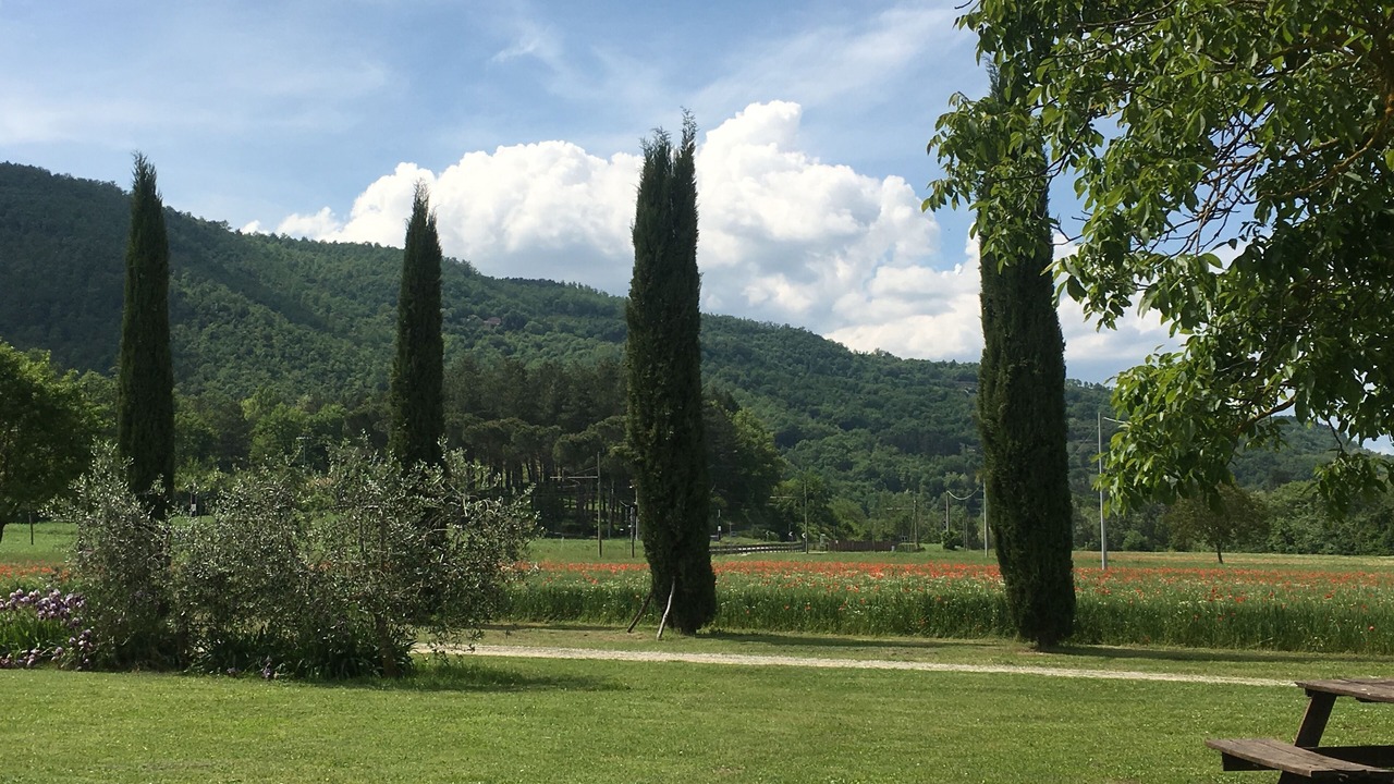 Photo of Outdoor in Capolona