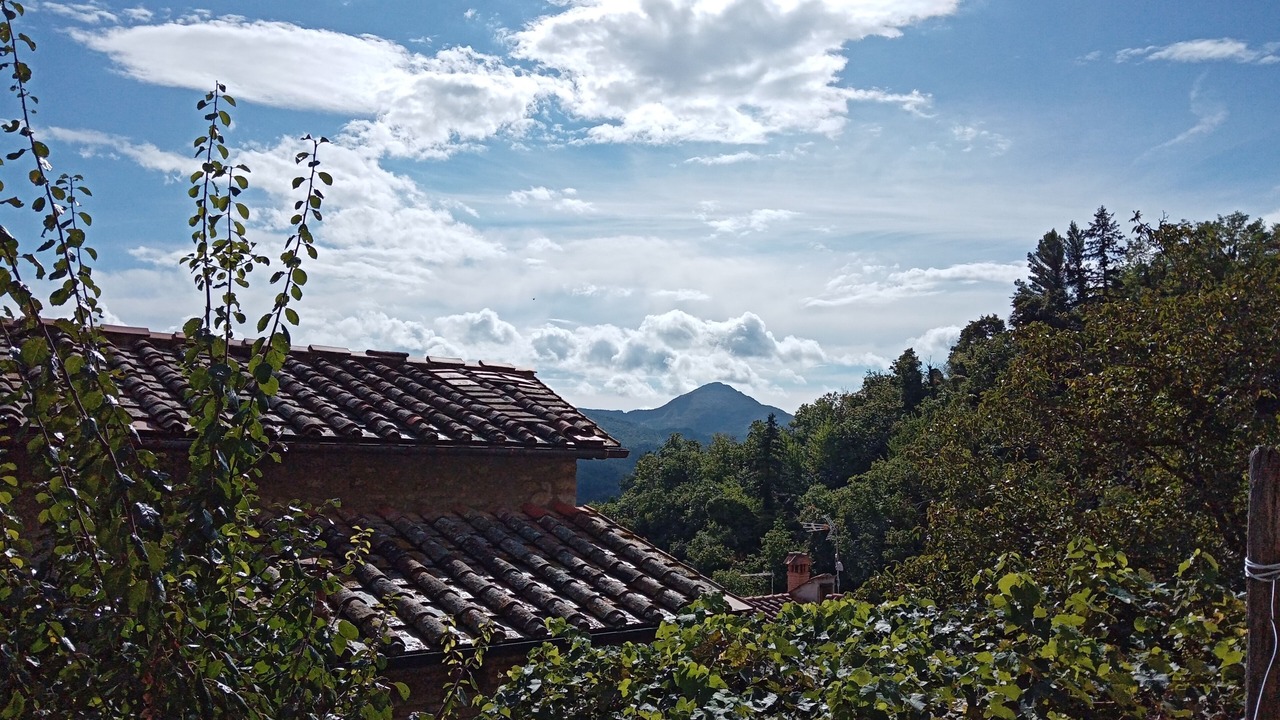 Photo of Others in Castelnuovo di Val di Cecina