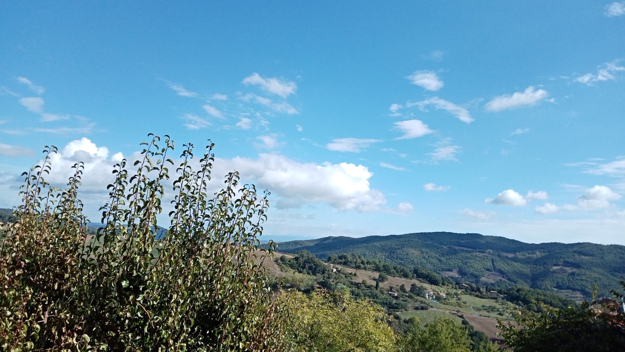 Photo of Others in Castelnuovo di Val di Cecina
