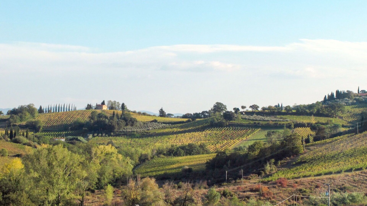 Photo of Outdoor in Campiglia