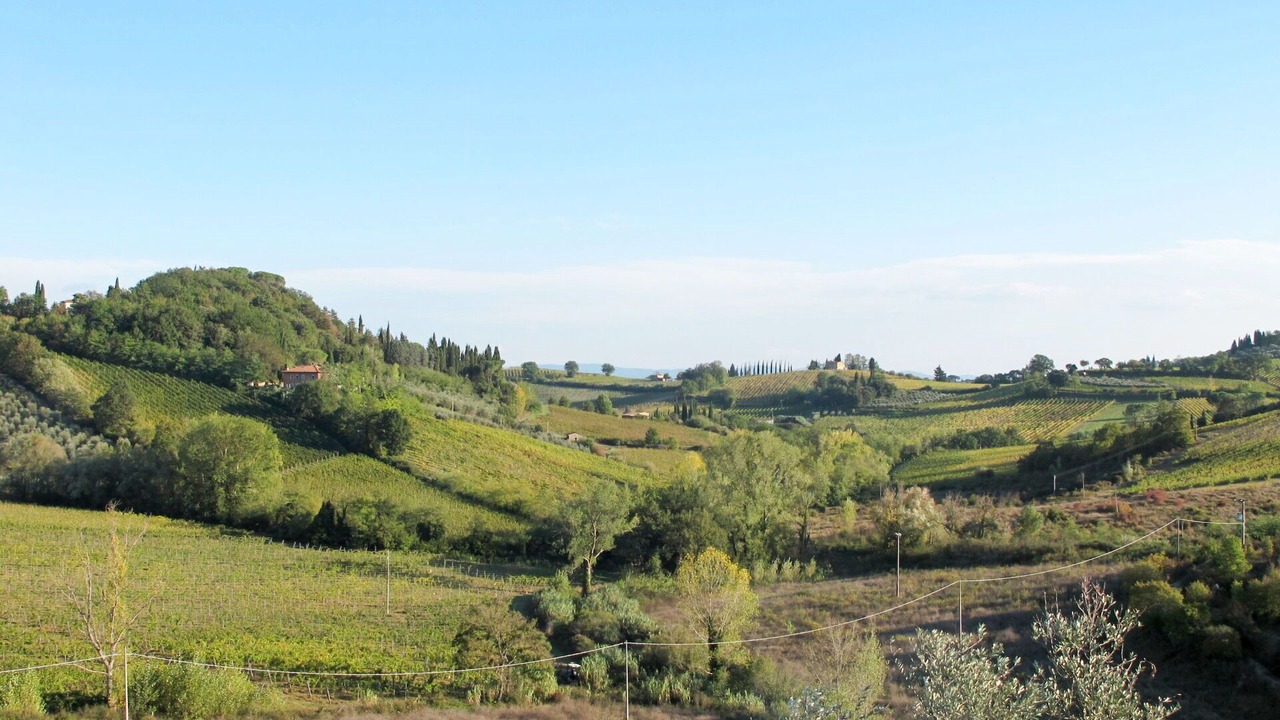 Photo of Outdoor in Campiglia