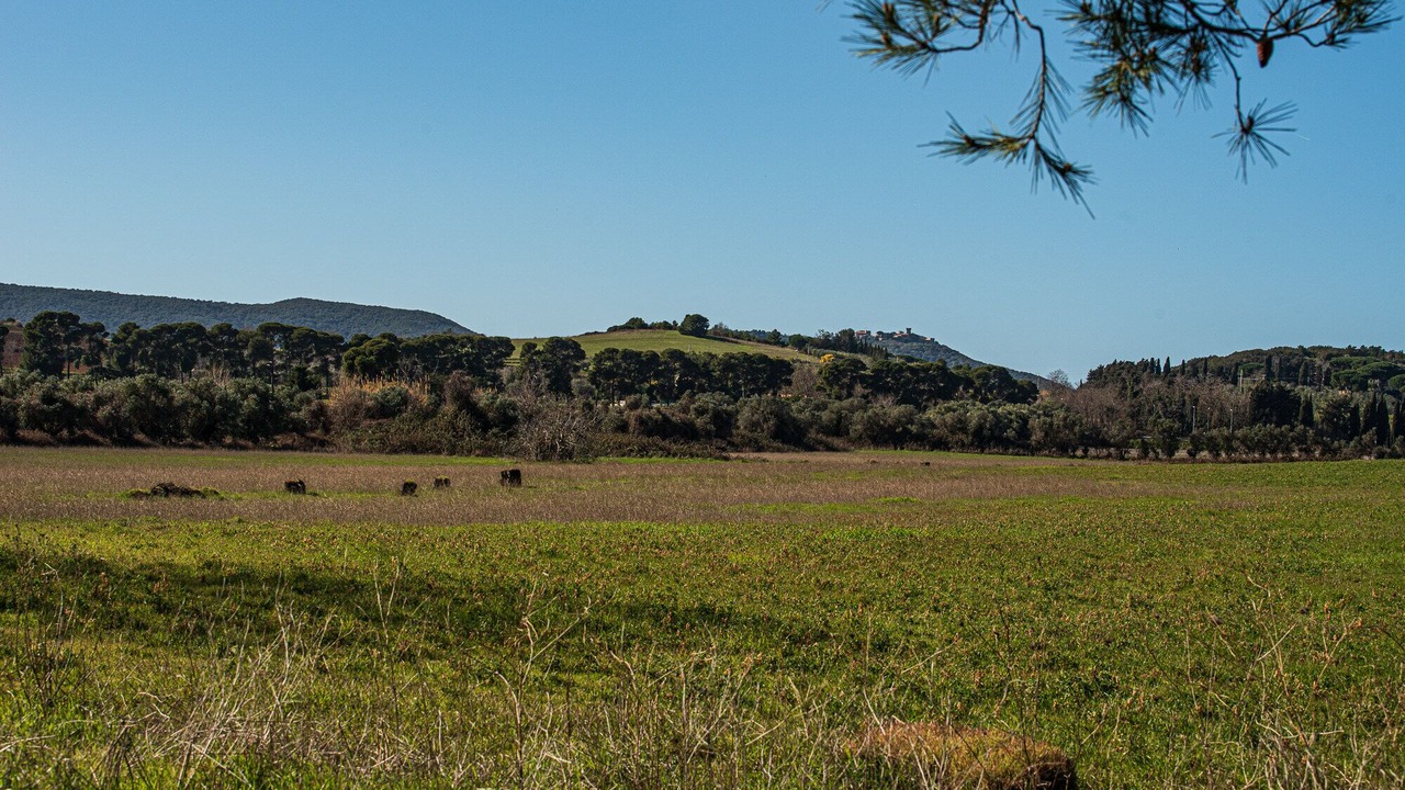 Photo of Outdoor in Piombino