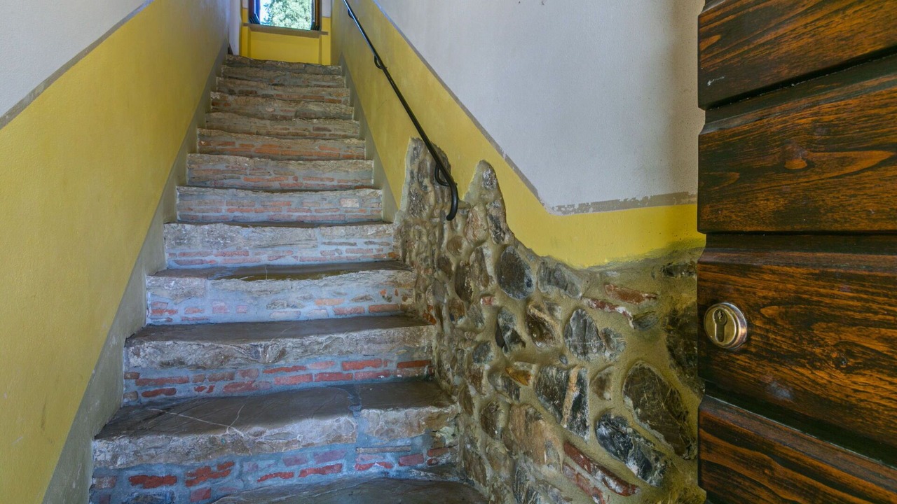 Photo of Others in Suvereto