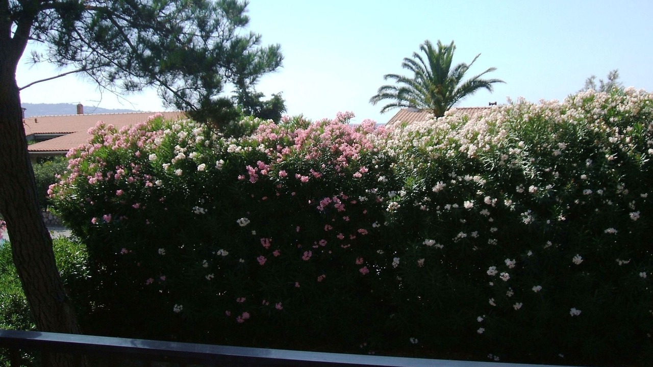 Photo of Others in Santa Liberata