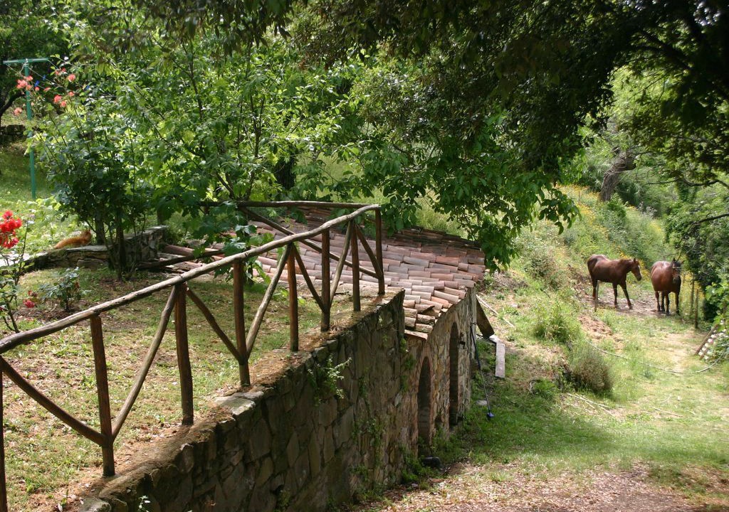 Photo of Outdoor in Monterotondo Marittimo