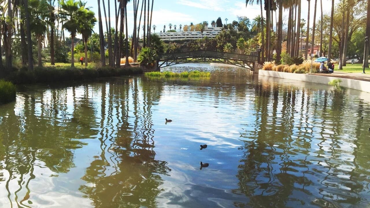 Photo of Outdoor in Elysian Heights