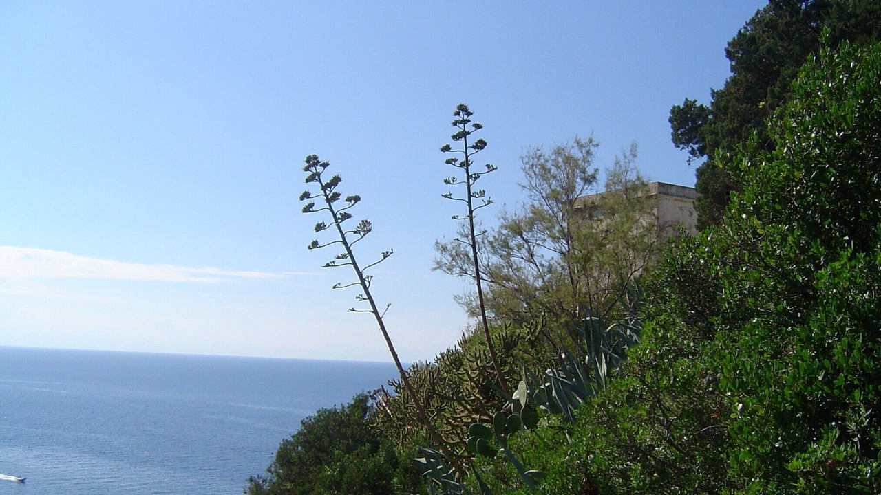 Photo of Others in Patresi