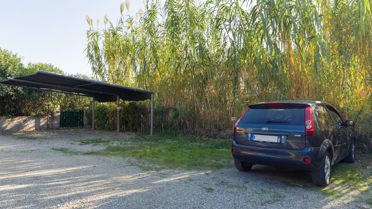 Photo of Outdoor in Marina di Campo