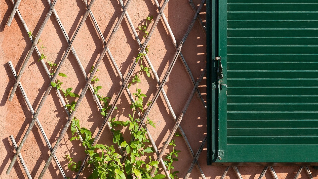 Photo of Outdoor in Portoferraio