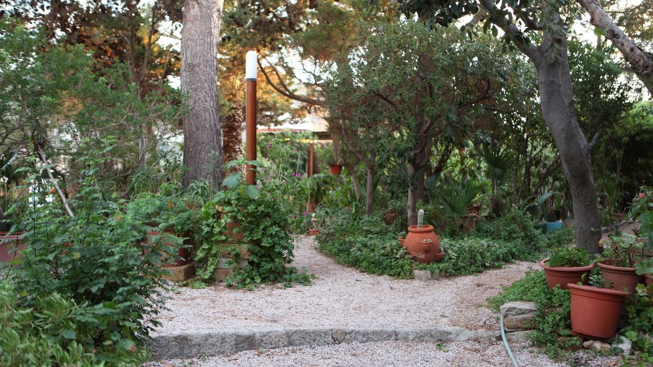 Photo of Outdoor in Giglio Campese