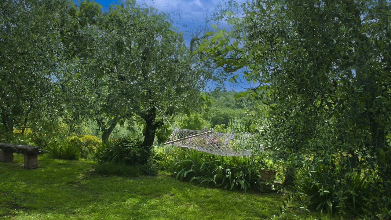 Photo of Outdoor in Sinalunga