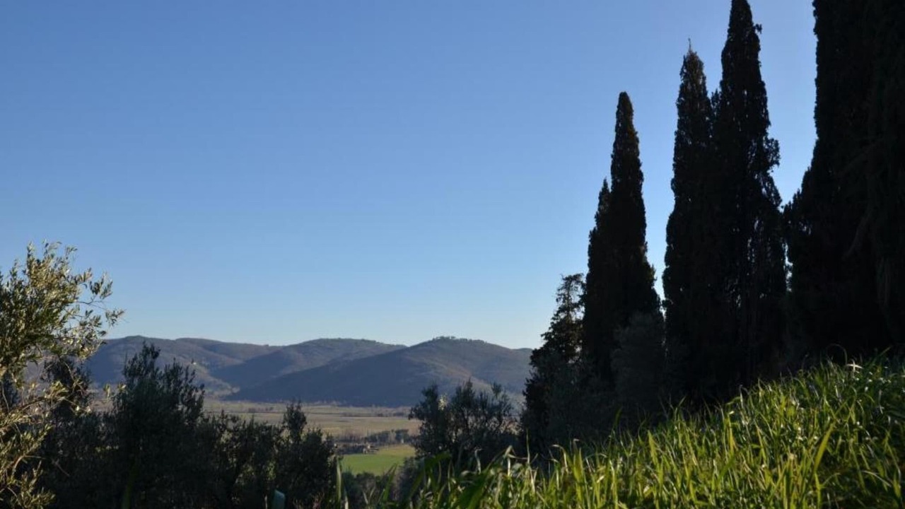 Photo of Others in Ossaia
