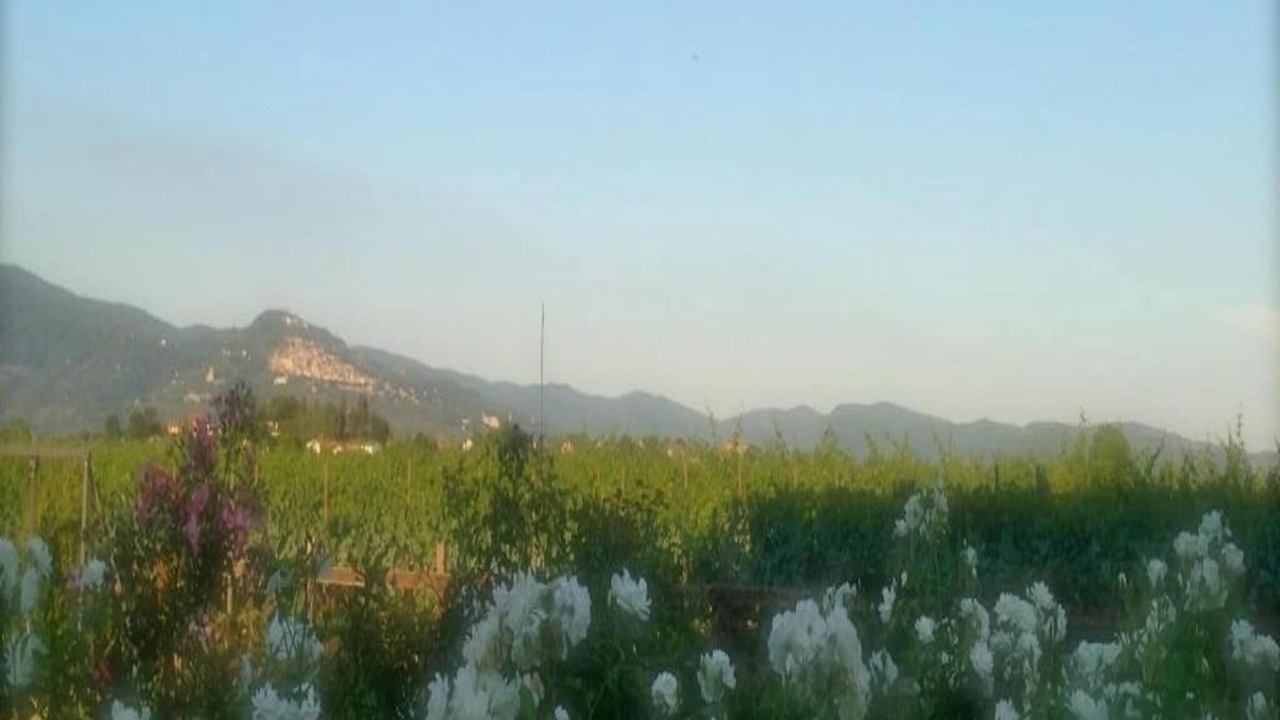 Photo of Others in Ossaia