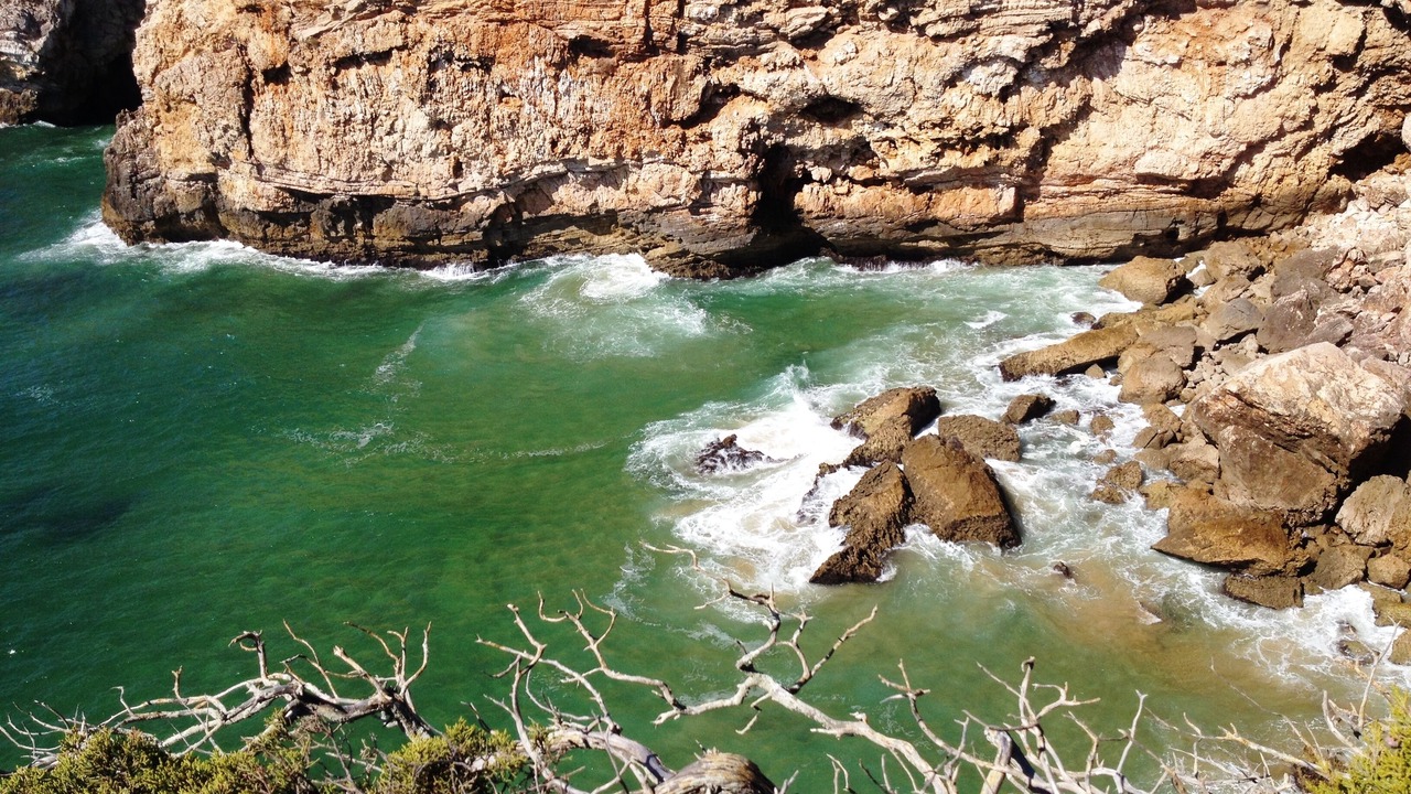 Photo of Others in Vila do Bispo